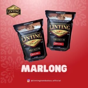 Linting - Marlong