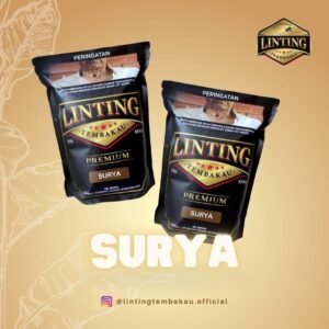Linting - Surya