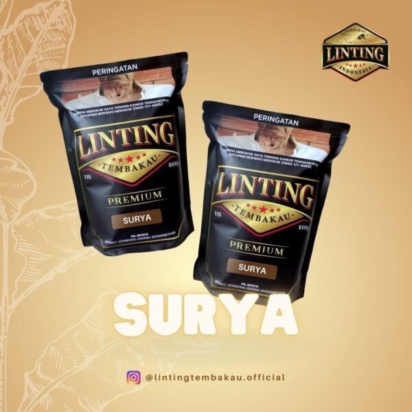 Linting - Surya