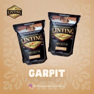 Linting - Garpit